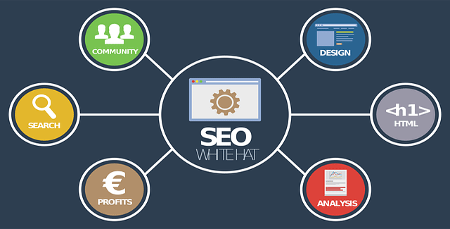 Seo para gerar tráfego para site